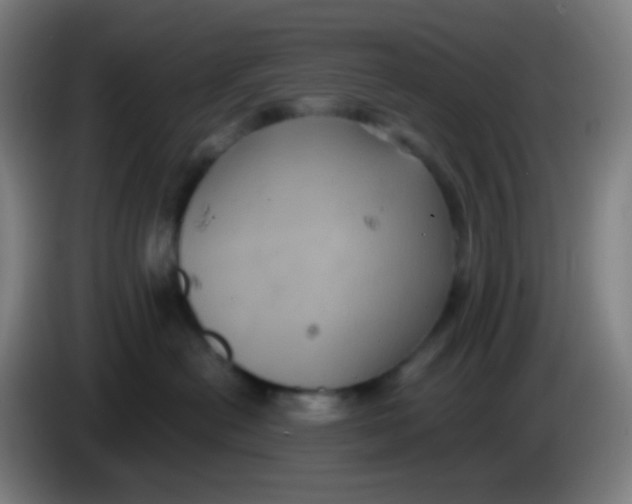 X0000085220478200703301707