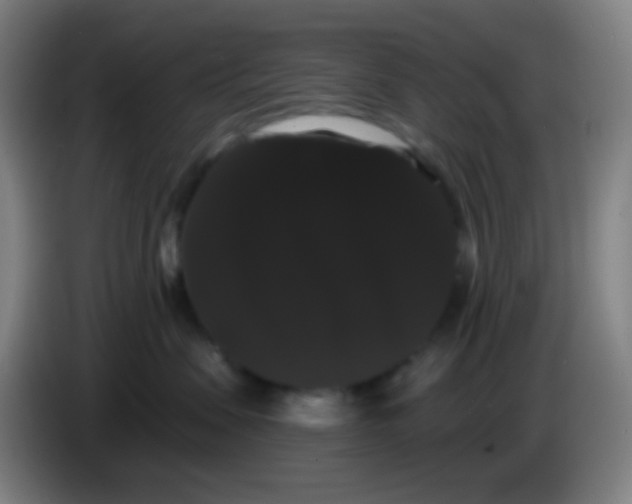 X0000085220479200703301707