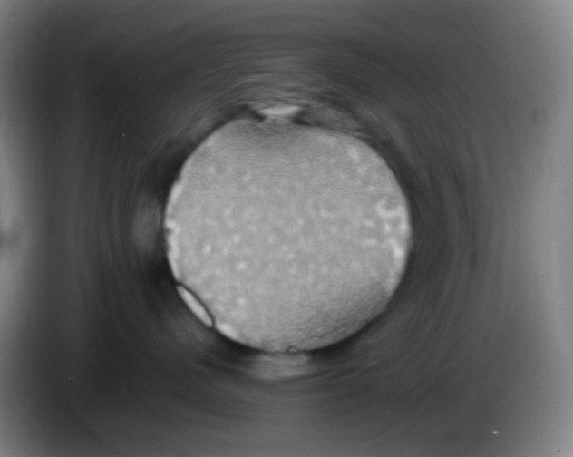 X0000085220480200703301707