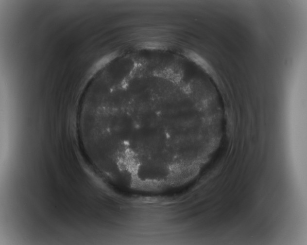 X0000085220482200703301706