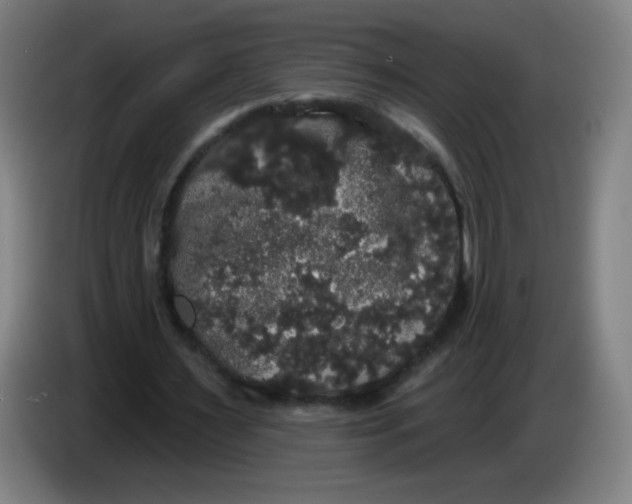 X0000085220483200703301706