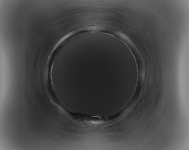 X0000085220484200703301706
