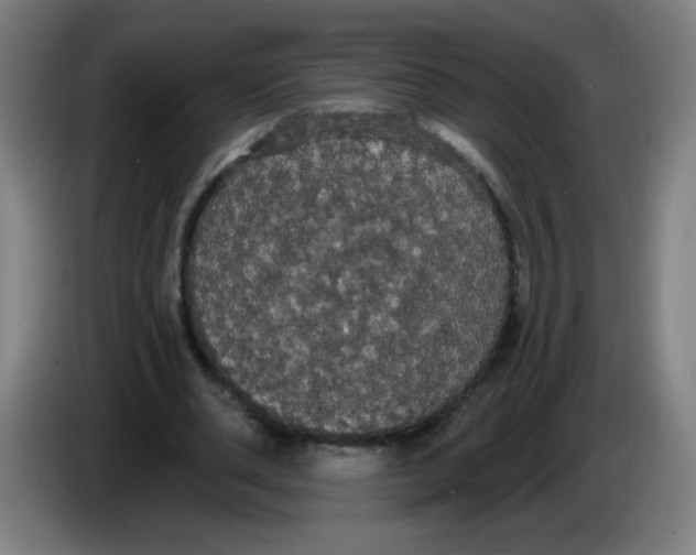 X0000085220486200703301706
