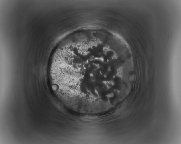 X0000085220487200703301706