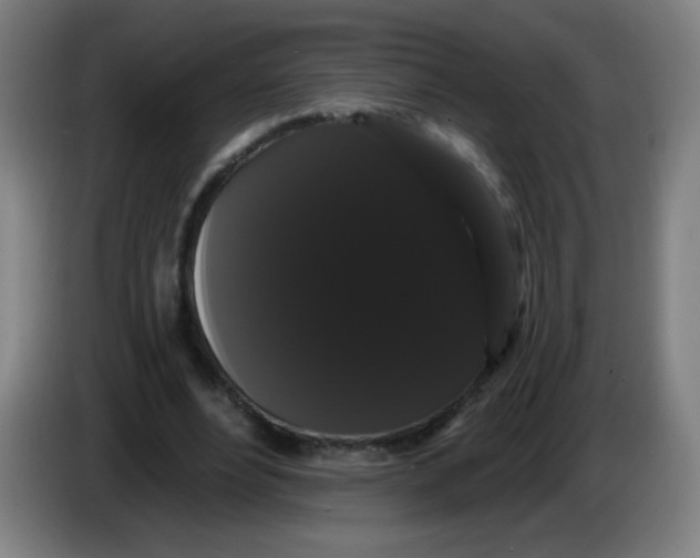 X0000085220488200703301706