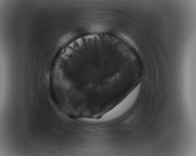 X0000085220491200703301706