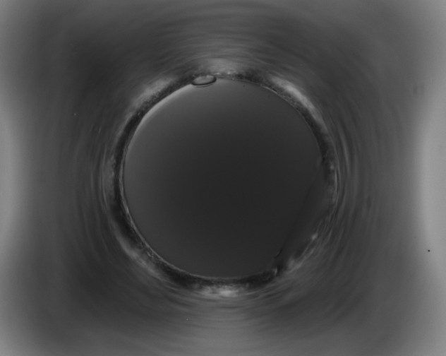 X0000085220492200703301706