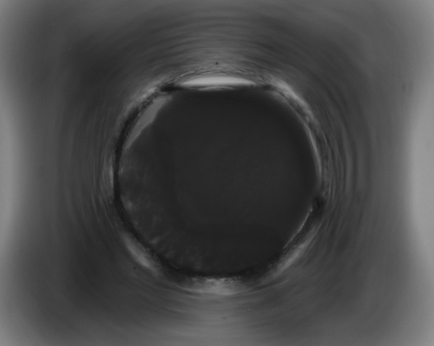 X0000085220493200703301706