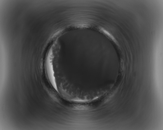 X0000085220494200703301706