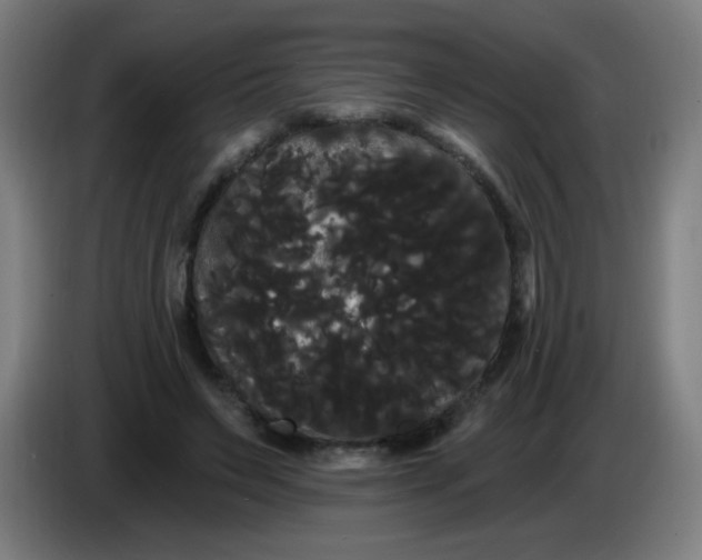 X0000085220495200703301706