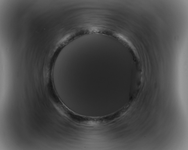 X0000085220496200703301706