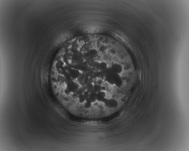 X0000085220499200703301706