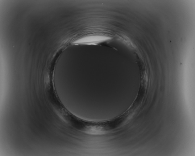 X0000085220500200703301706