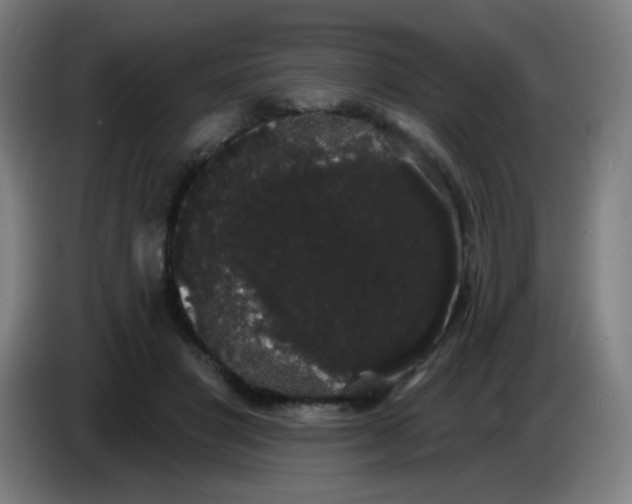 X0000085220501200703301706