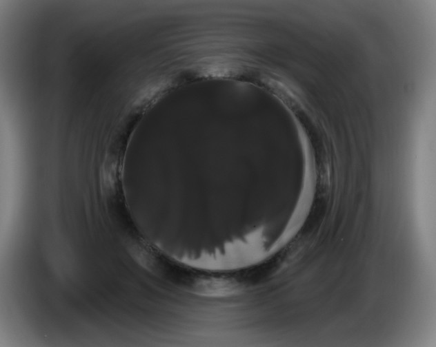 X0000085220503200703301706