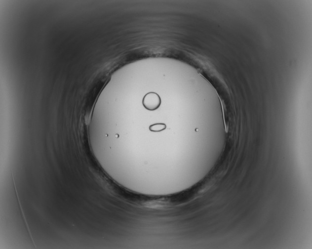 X0000085220505200703301706