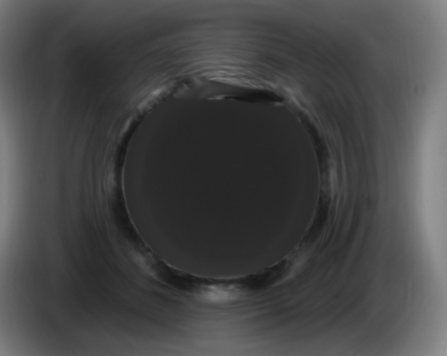 X0000085220508200703301706