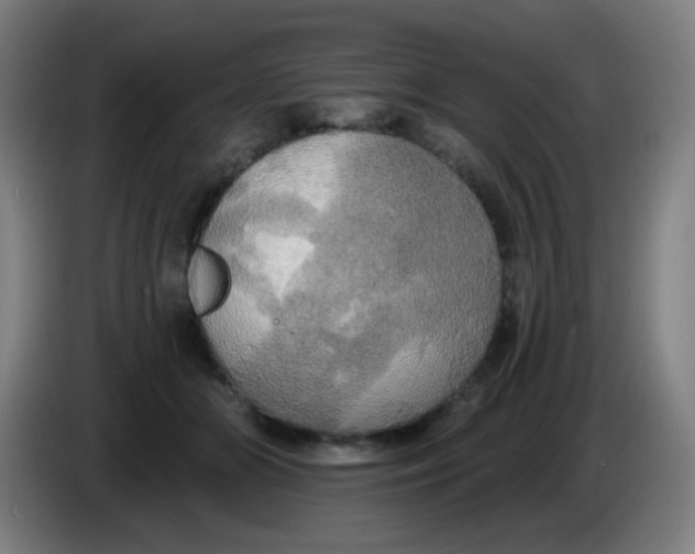 X0000085220510200703301706