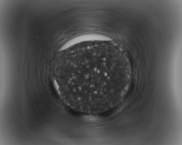 X0000085220511200703301706