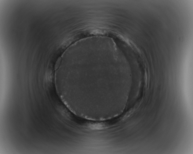 X0000085220513200703301706