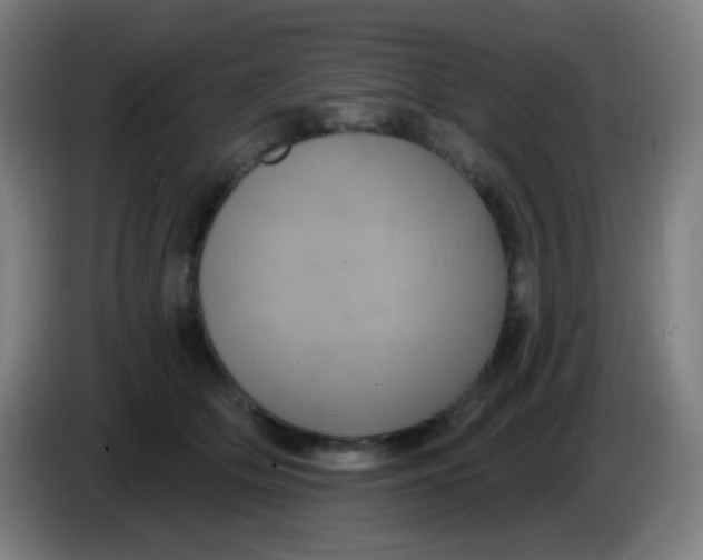 X0000085220514200703301706