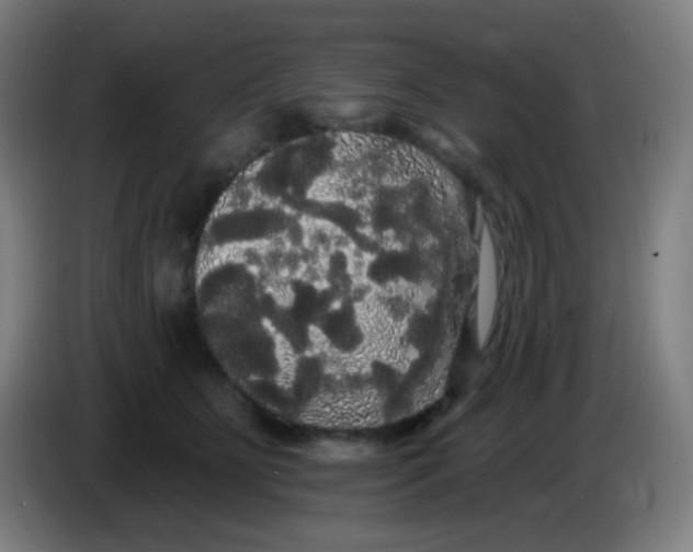 X0000085220515200703301706