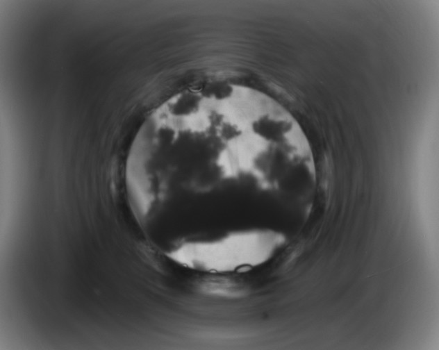 X0000085220519200703301706