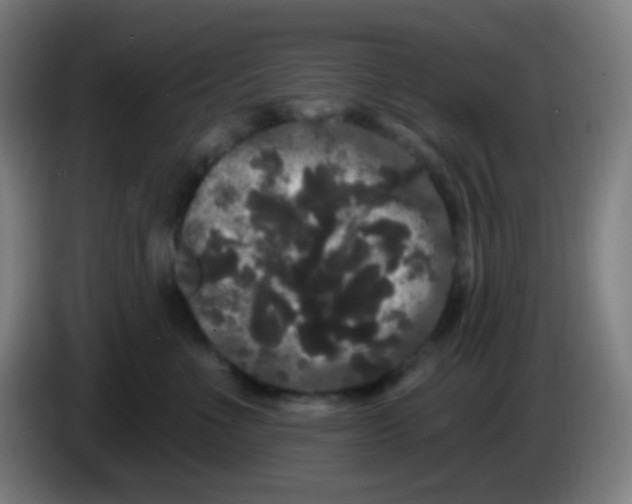 X0000085220523200703301706