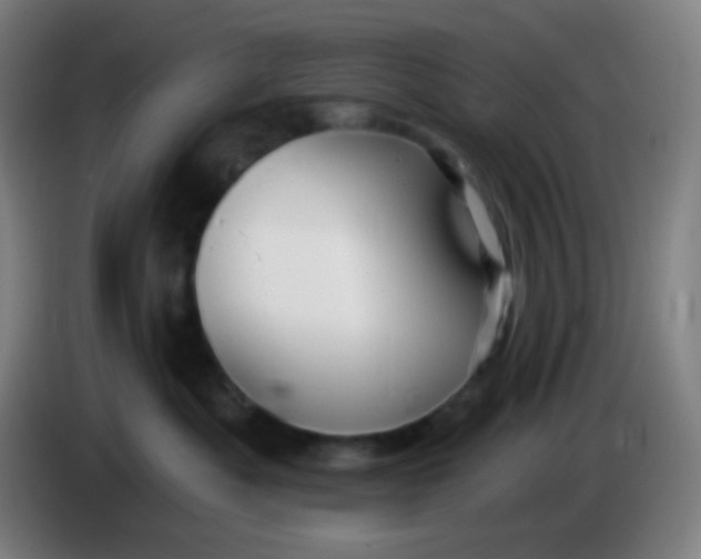 X0000085220525200703301706