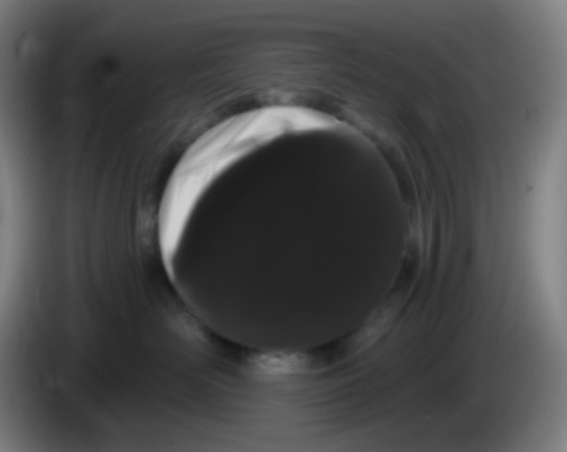 X0000085220526200703301706