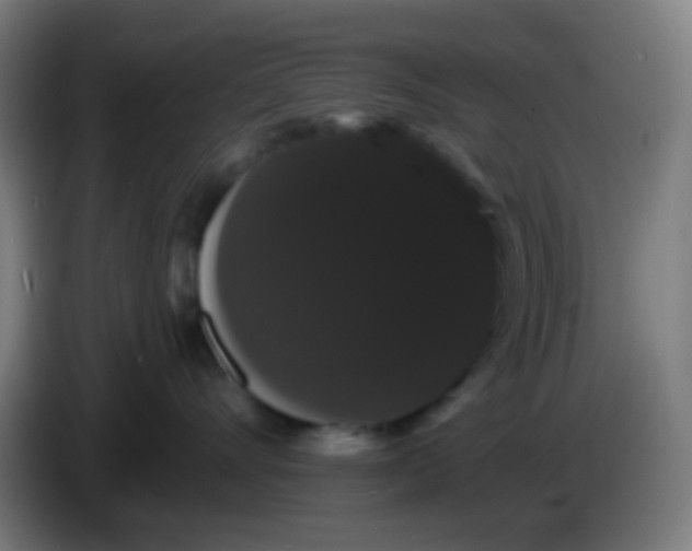 X0000085220528200703301706