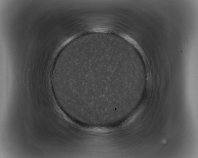 X0000085220529200703301705