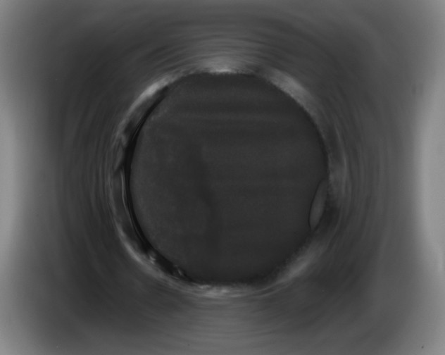 X0000085220530200703301705
