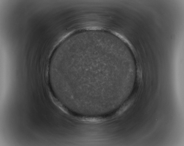 X0000085220533200703301705