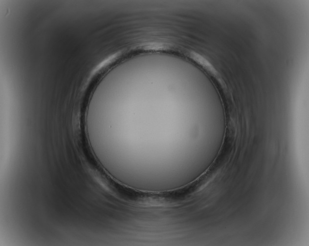 X0000085220535200703301705