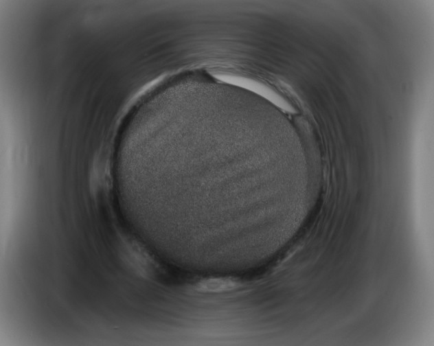 X0000085220536200703301705