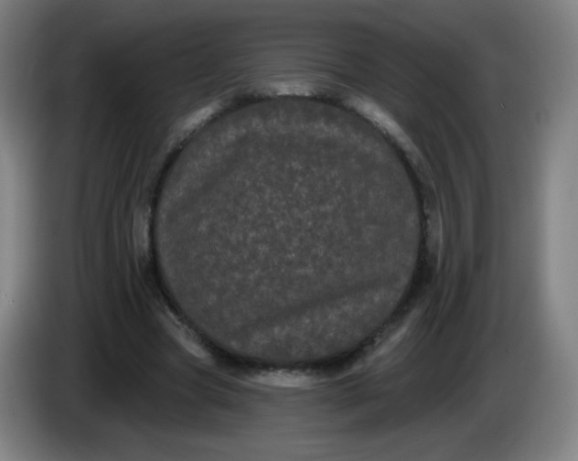 X0000085220537200703301705
