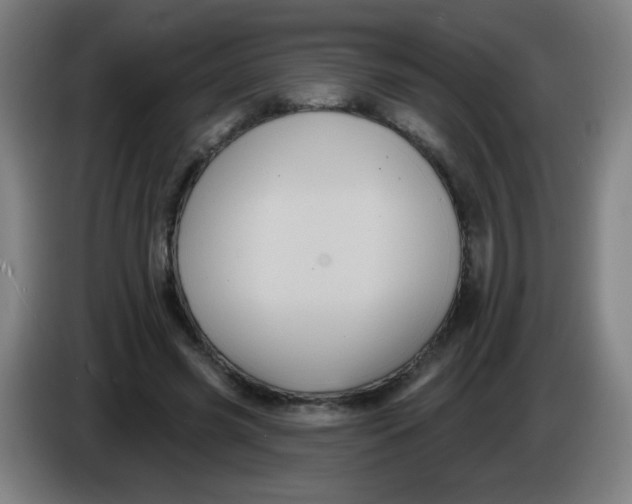 X0000085220541200703301705