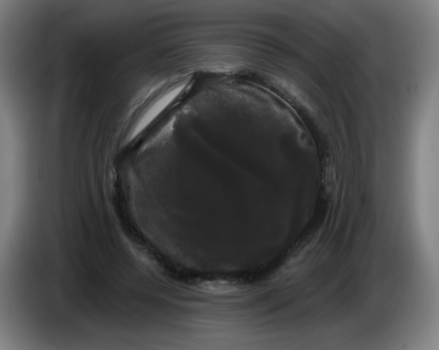 X0000085220544200703301705
