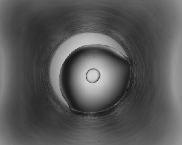 X0000085220546200703301705