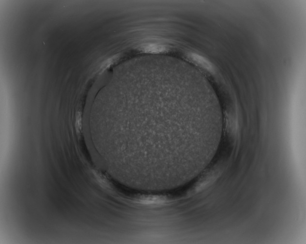 X0000085220549200703301705