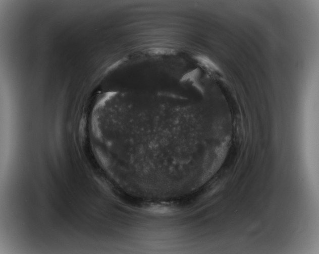 X0000085220550200703301705