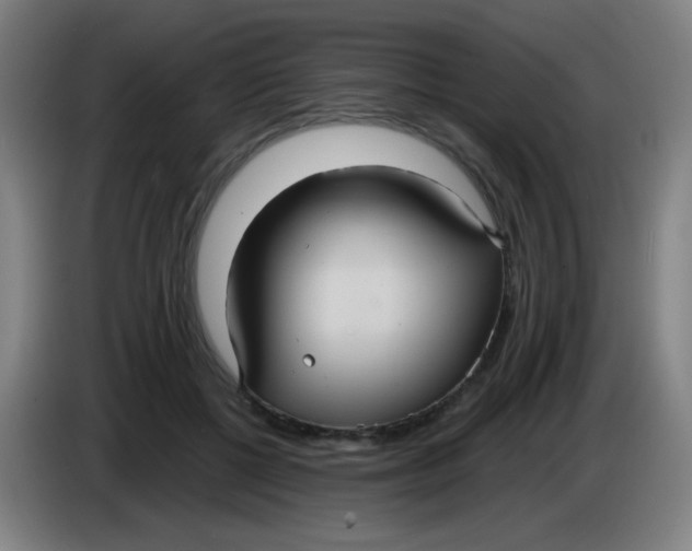 X0000085220552200703301705