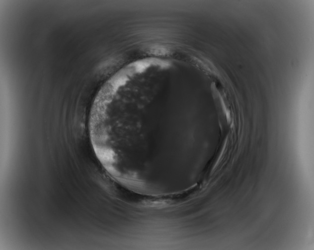 X0000085220553200703301705