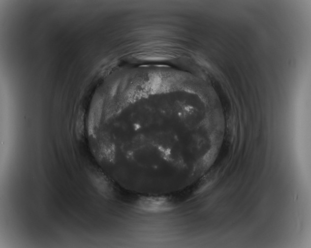 X0000085220554200703301706