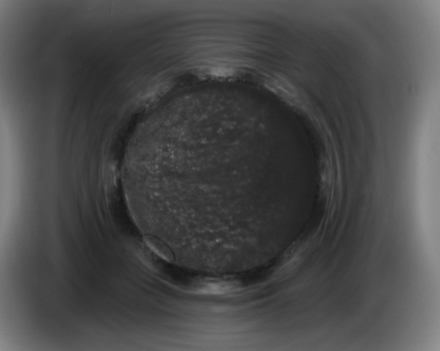 X0000085220555200703301706