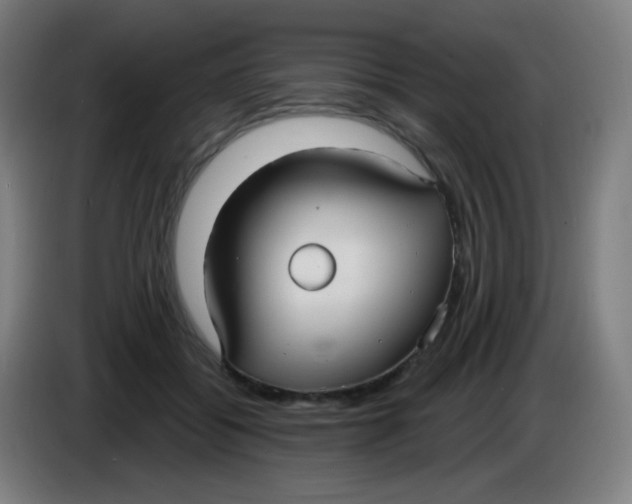 X0000085220556200703301706