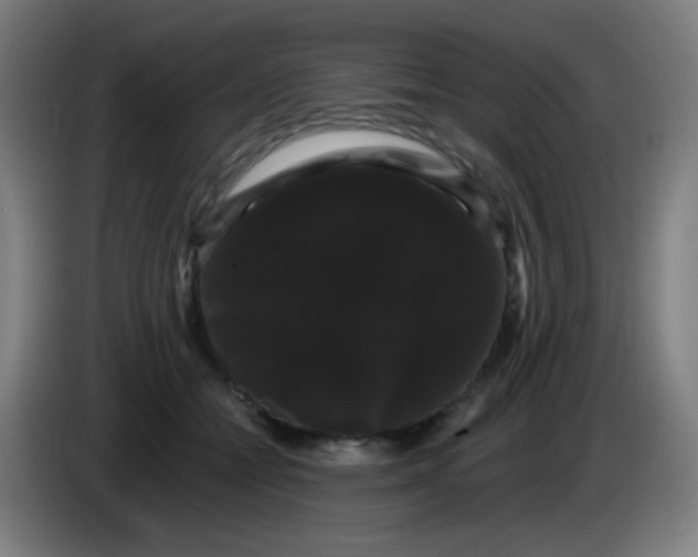 X0000085220558200703301706