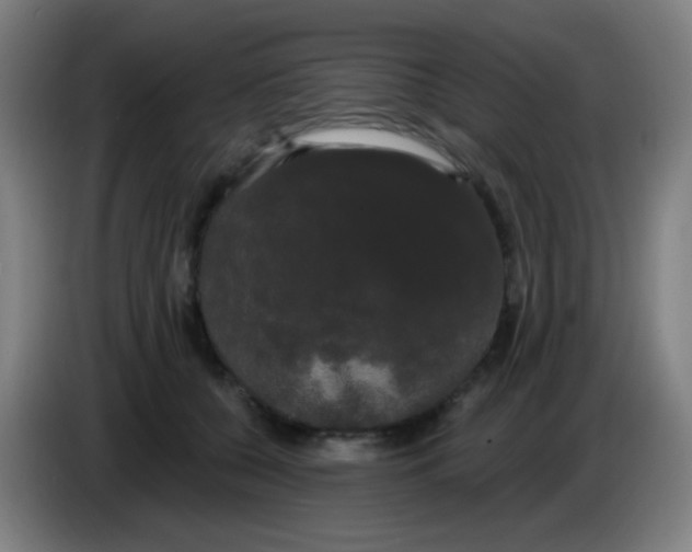 X0000085220560200703301706