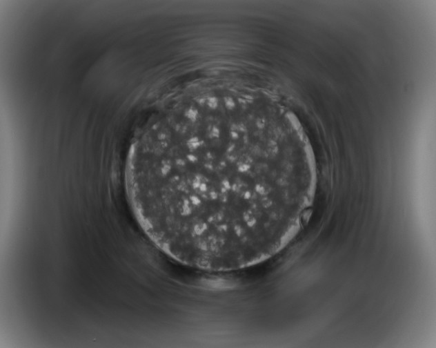 X0000085220561200703301706